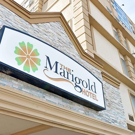 The Marigold Hotel Brampton Dış mekan fotoğraf