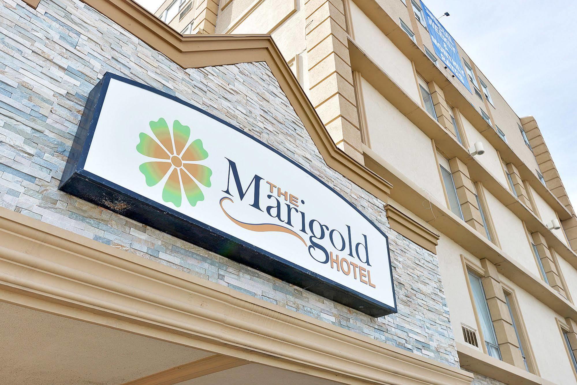 The Marigold Hotel Brampton Dış mekan fotoğraf