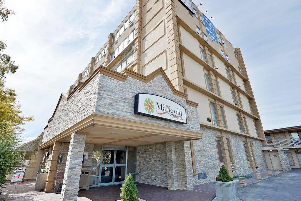 The Marigold Hotel Brampton Dış mekan fotoğraf