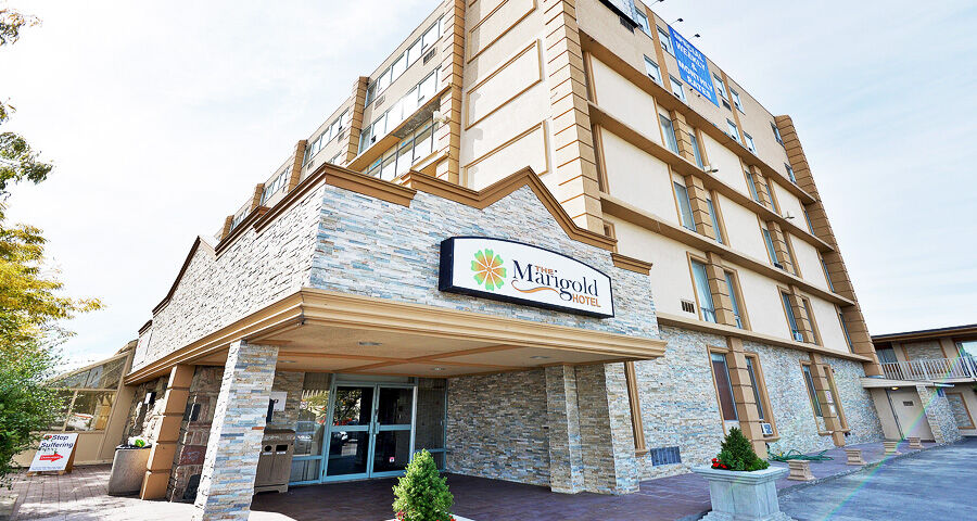 The Marigold Hotel Brampton Dış mekan fotoğraf